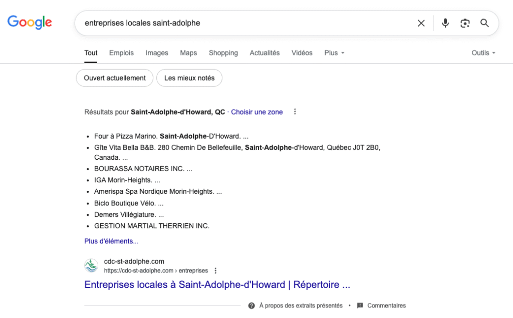 entreprises locales Saint-Adolphe résultat de recherche Google